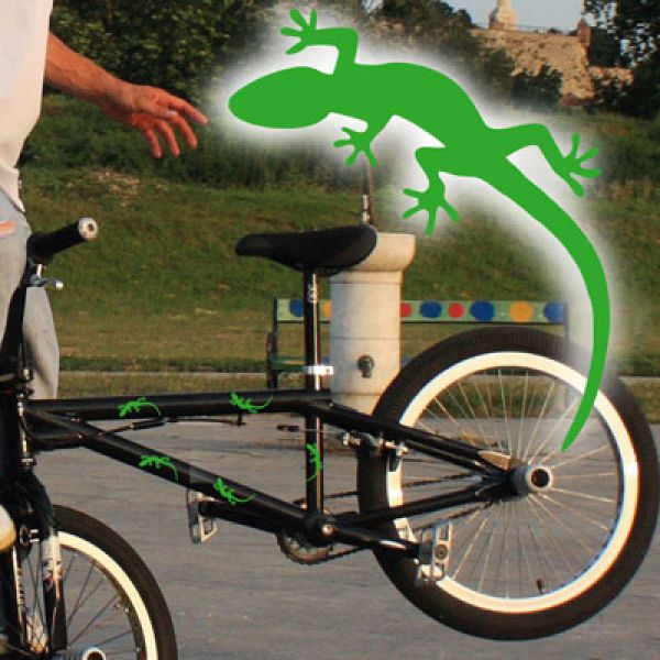 FF005 Gekko Gecko Echse Aufkleber Fahrrad Sticker