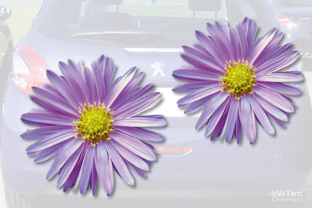 Möchten Sie Striping Blumen Autoaufkleber kaufen? - Stickermaster