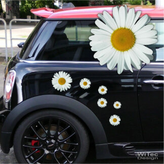 Möchten Sie Striping Blumen Autoaufkleber kaufen? - Stickermaster